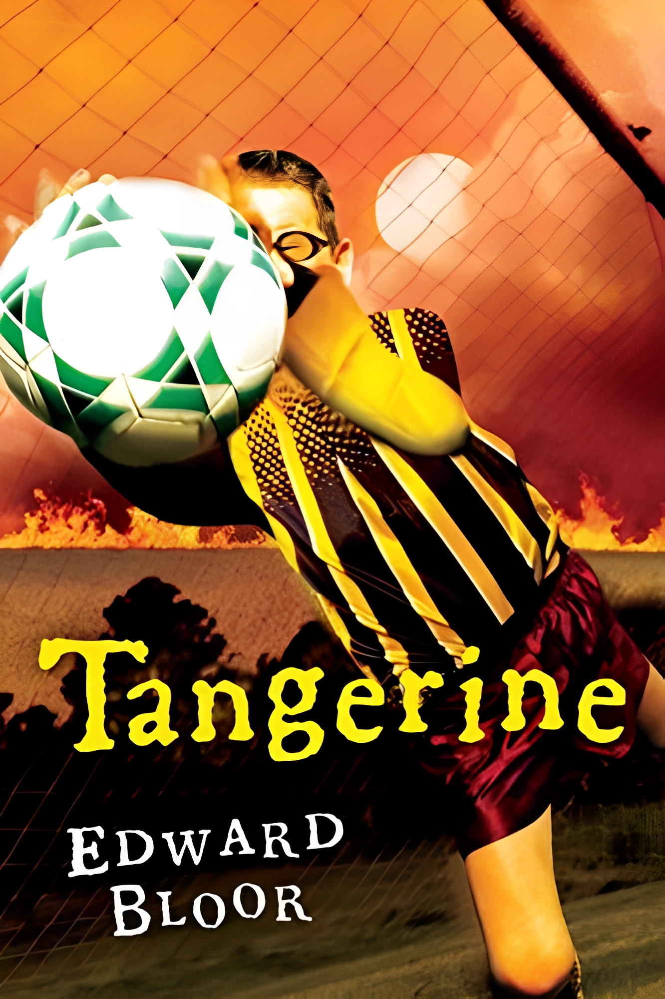 Tangerine Edward Bloor YA Mystery