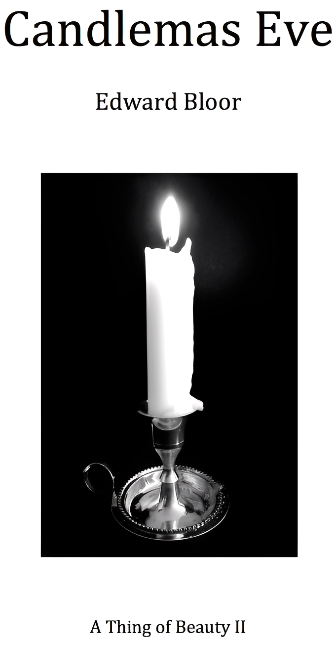 Candlelit book cover with burning candle.